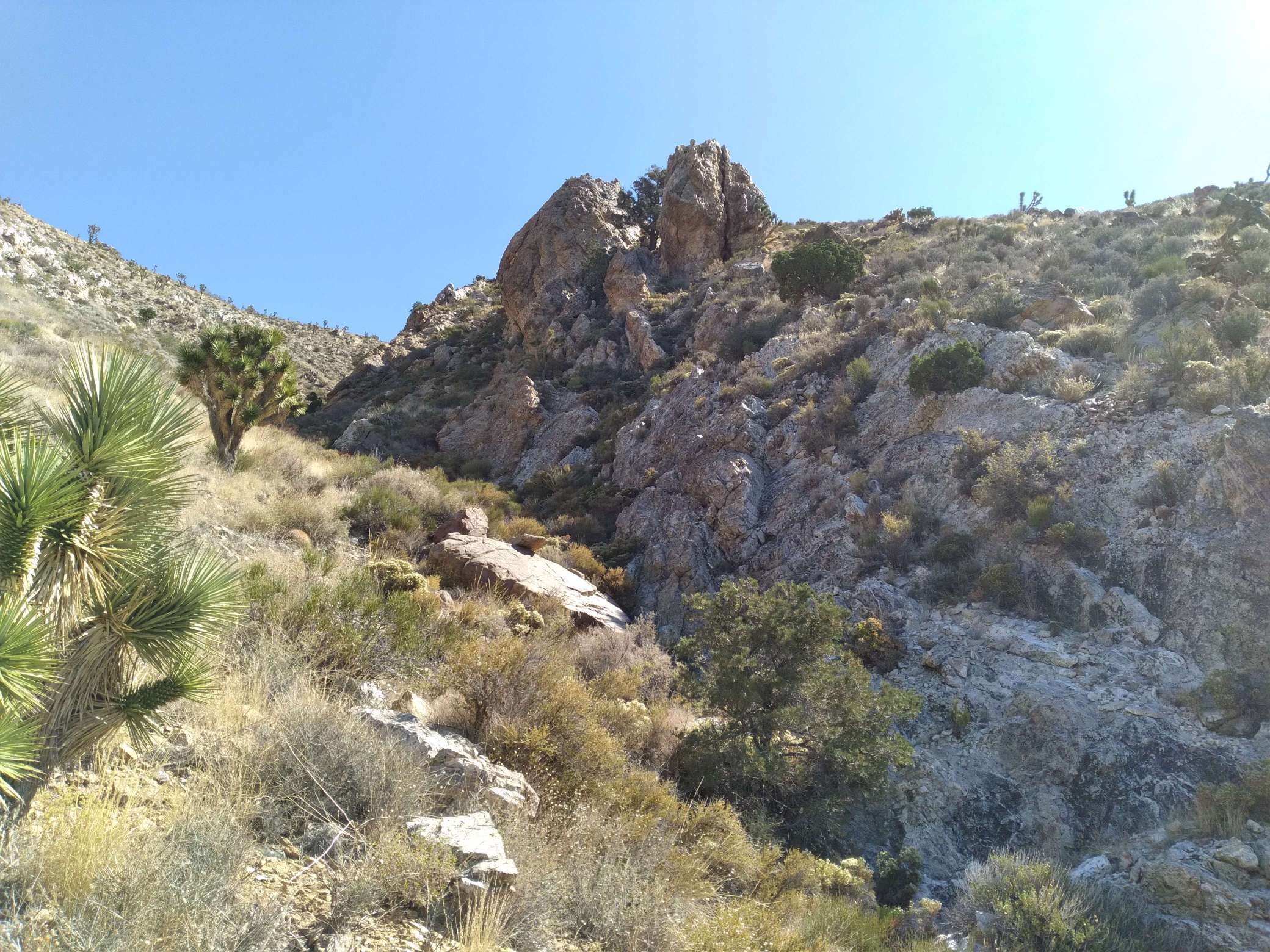 western-main-pocket-red